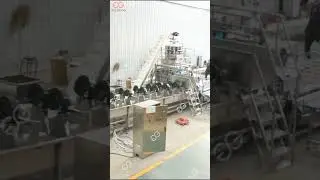 Iqf Frozen Green Peas Processing Line