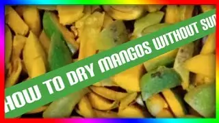 How to dry raw mangoes without Sun|dry raw mangoes without sun|dry mangoes for pickel| born again694