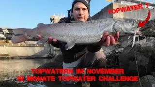 Huchensuche im Februar - 12 Monate Topwater Challenge