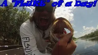 A Fluke kind of day Bass fishing