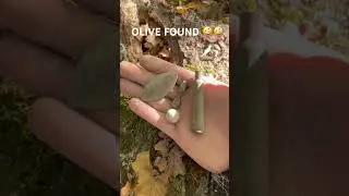 #autumn #metaldetecting #olive #relic #artifacts