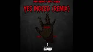 PBG Kemo Ft TFG Larro - Yes Indeed (Remix)