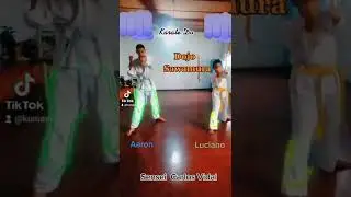 Dojo Sawamura, Sensei Carlos Vidal, pr&aacute;ctica de karate, Venezuela estado Carabobo Valencia
