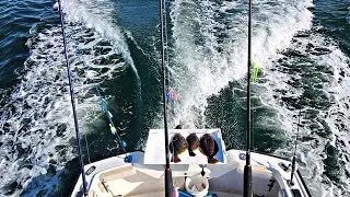 Fluke MEGA SCHOOL! The Flounder Are Here! 4K