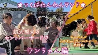 【4歳8ヶ月】つくばわんわんランド★ワンちゃん編