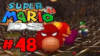 Super Mario 64 DS - #48 - Make Wiggler Squirm!