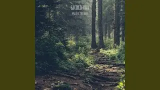 Walking The Path
