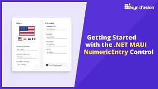 Getting Started with the .NET MAUI Numeric Entry Control