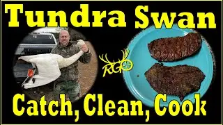 Tundra Swan Catch, Clean, Cook | RGO #343