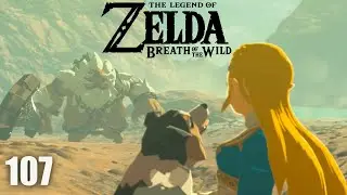 Daruk's Doggy Doom - Breath of the Wild (107)
