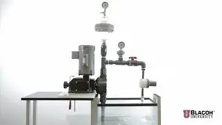 Pulsation Dampeners for Metering Pumps