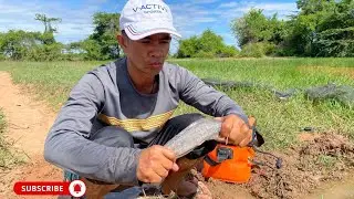 DIY Fish Trap Using Plastic Bottles &ndash; Shocking Res