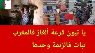شاهد الفرق بين أزمة ألغاز في المغرب و الجزائر القوة الضاربة 