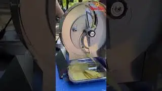 M&Aacute;Y TH&Aacute;I RAU CỦ YC250