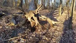 Keller-Kirn Park Part 2 Hiking