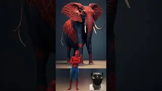 Marvel and Dc Heroes become a Elephants‼️ #shorts