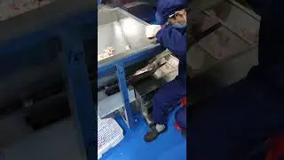 Candy jelly bean premade bag pouch rotary filling sealing packing machine
