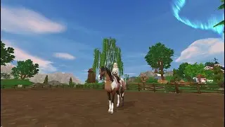 American Paint Horse Gaits 🐴🖤