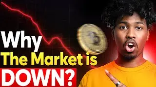 Maxaa Ka Dhacaya Suuqa Crypto? Warbixin Culus 😱