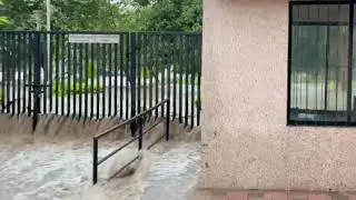 Ranjitsagar dam overflow with havy rain #short #funny vidio
