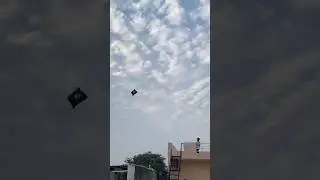 Kite flying on Republic Day 2026 🇮🇳 Monofil manjha testing|Big kite catching |Kite cutting #shorts