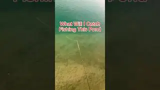 What Will I Catch Using Power Eggs? #fishing #fish