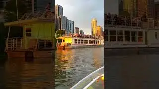 Sunset Clear Kayaking and Bat Watching Tour in Austin, TX - Austin Clear Kayak Tour