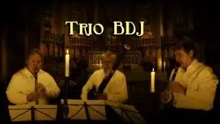 Mozart Divertimento no 3 Kv 229  5. Rondo