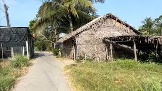 Khám Phá Vùng Quê Ấp Xẻo Cui Mộc Mạc Yên Bình Thấy Cuộc Sống Rất Là Bình Dị 