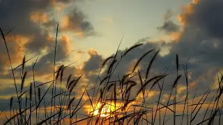 Video langit aesthetic - mentahan video background