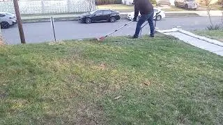 Removing yard thatch apr 1 2025