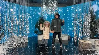Предновогодние дни!