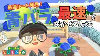 【新ルート発見】0から青バラを最速で咲かせる方法をまとめました【あつ森】【LIVE切り抜き】
