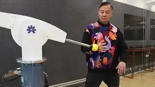 周松堅師父太極推手示範 Master Raymond Chow Tai chi demo