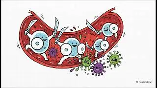Complete blood count test (CBC)