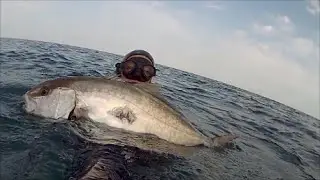 Pesca sub:  Spearfishing... Ricciola con Mares Cyrano evo hf