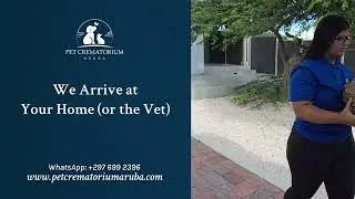 Respectful Pet Aftercare in Aruba 🕊️  Every Step Handled with Love