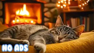 12 Hours Of Cat Healing Music 🔔 Winter Wonderland for Cats 🎅 Gentle Christmas Sleep Music ❄️ Cat TV
