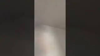 multi finish Plastering