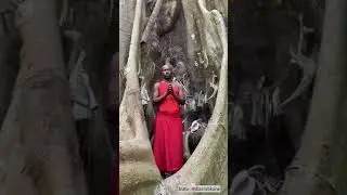 En savoir plus sur les fétiches des animistes en Casamance