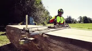 Dirk Mobiles S&auml;gewerk - Eiche XXl S&auml;gen mit 2 Stihl MS 880 - 160 cm Durchmesser