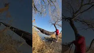 I Replaced My Sleeping Bag With This Hammock