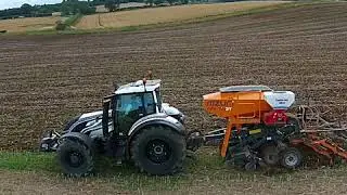 The tartan tractor and mzuri sowing wheat directly into oilseed rape stubble