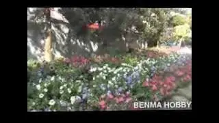 Video FX052