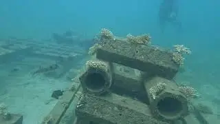 ReefSystems: 1 out of 20 research reef patches in Shimoni, Kenya