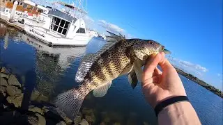 Fishing pepper park