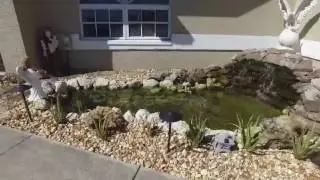 Koi Pond Cape Coral Florida, Natural stone waterfall, fish pond, koi fish