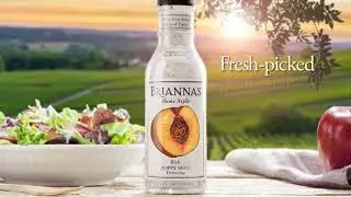BRIANNAS &reg; Fine Salad Dressing - Picnic Table