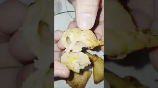 #food #samosa #shorts #foodie #frozenfood #viral #trending #youtubeshorts #shortsfeed #minisamosa