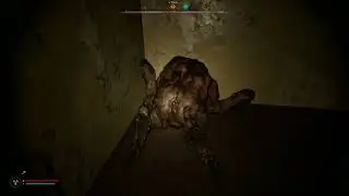 S.T.A.L.K.E.R. 2 Затон, Станция обслуживания (депо), закрытые помещения